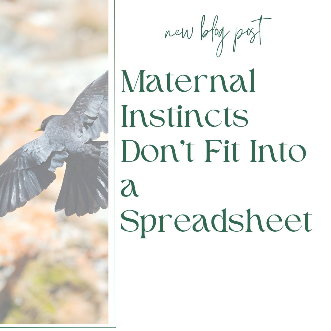 Maternal Instincts blog post alert on Southdowns Psychotherapy
